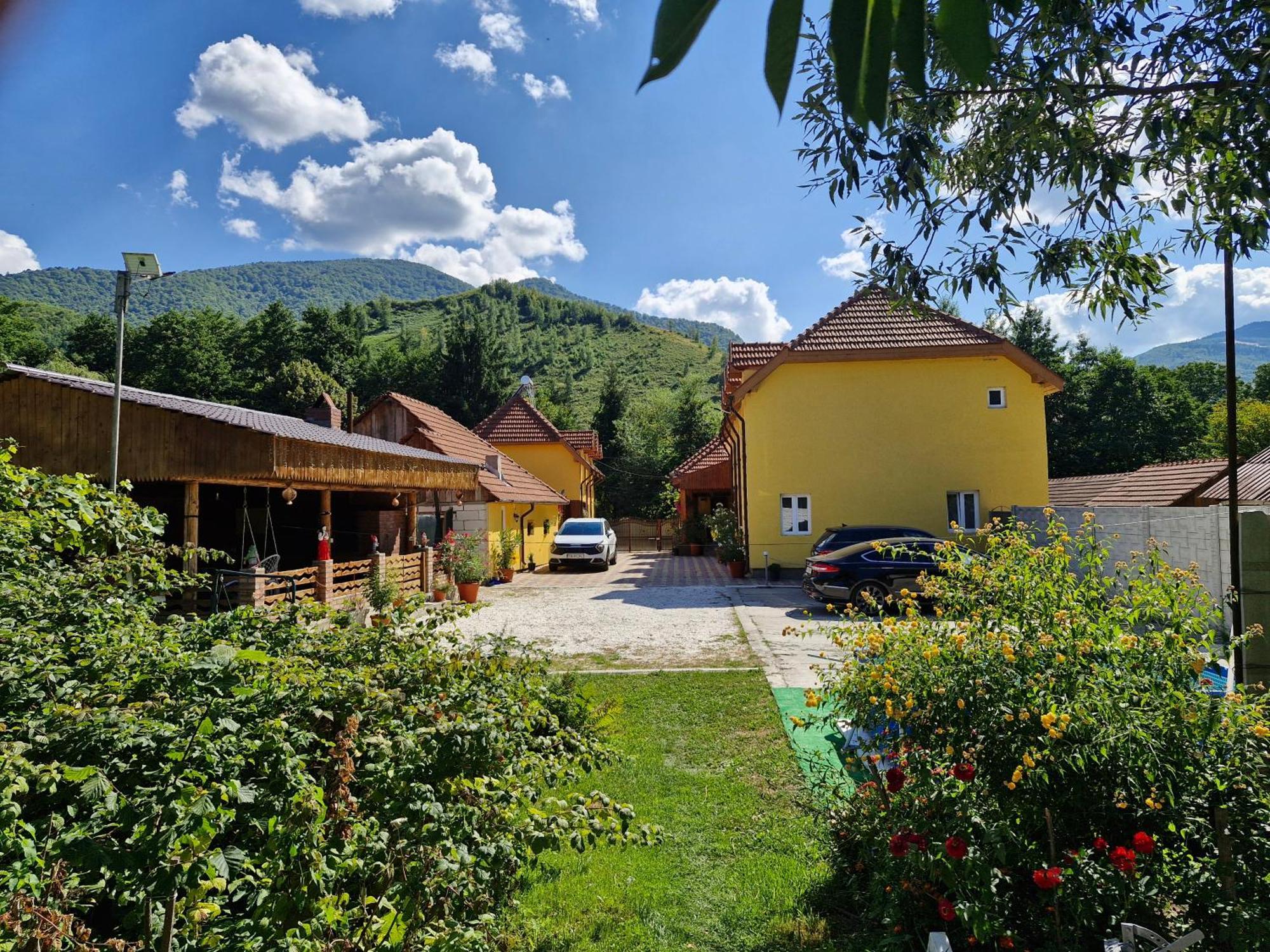 Pensiunea Agroturistica La Doina Râu de Mori Exterior photo